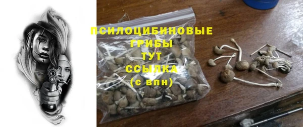 ECSTASY Бугульма