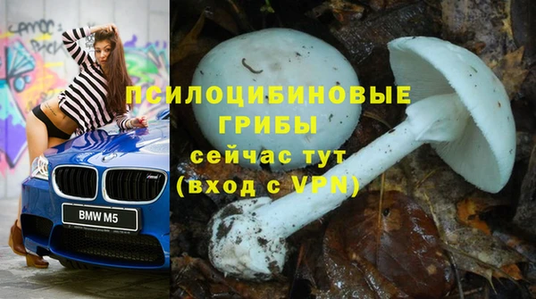 ECSTASY Бугульма
