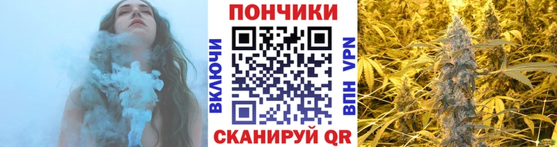 Купить закладки  Валдай  Канабис SATIVA & INDICA 